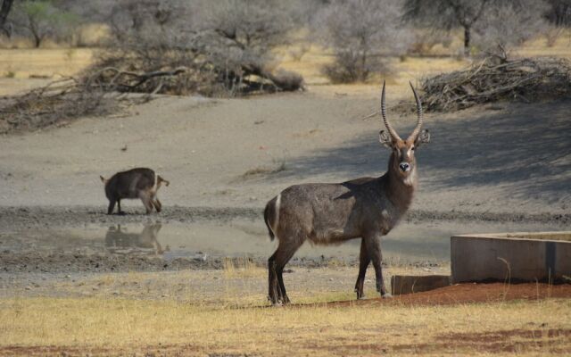 Gabus Game Ranch