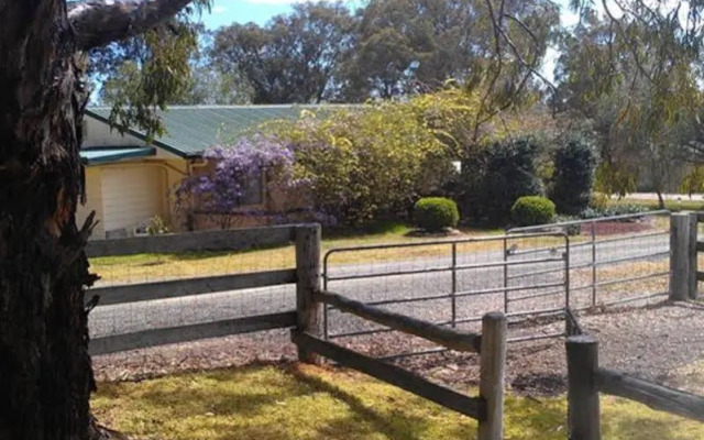 Starline Alpacas Farmstay Resort