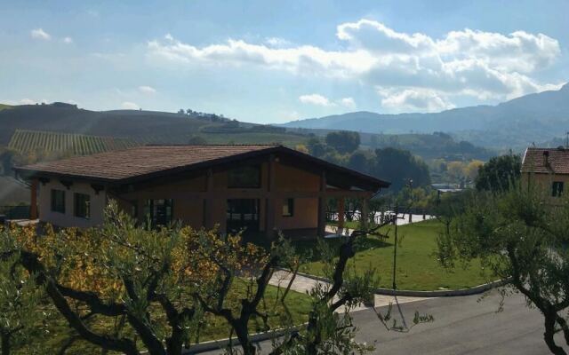 Le Vigne di Clementina Fabi