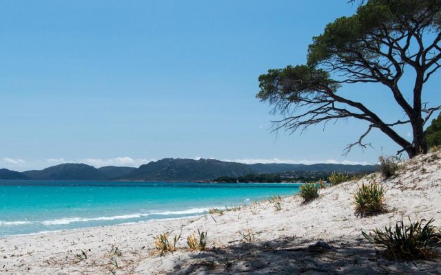 Bel Appartement T2 en Résidence avec piscine - Cala Rossa - Les Jardins d’Alzetu