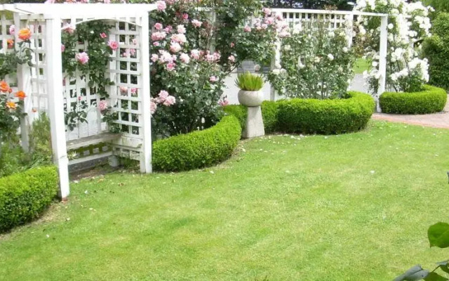 The Martinborough Connection