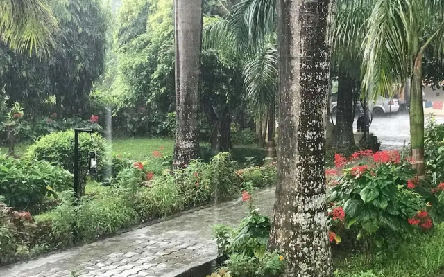 Royal Tiger Safari Resort