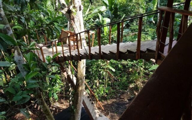 Hotel Pulmon del Mundo