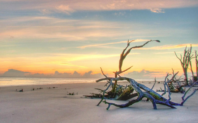 The Westin Jekyll Island Beach Resort