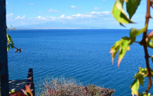 Saracena View