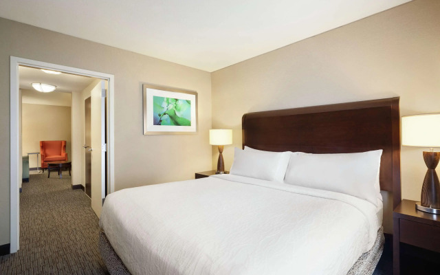 Hilton Garden Inn Atlanta Downtown