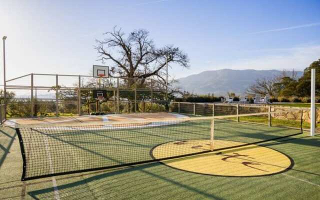 Vinte-Quinta da Boavista