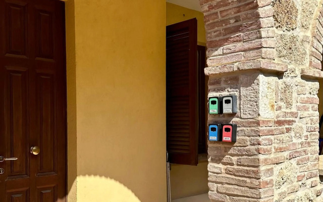 The Grapevine by MANVI