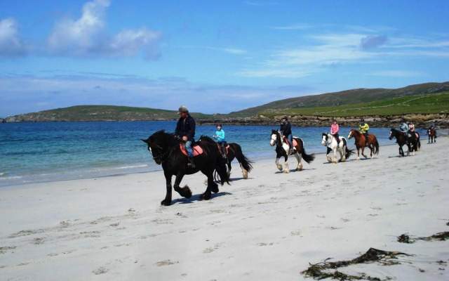 Palmgrove Bed & Breakfast