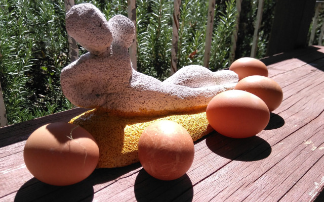 CIVETTA-Wohnung-kleines-Nest