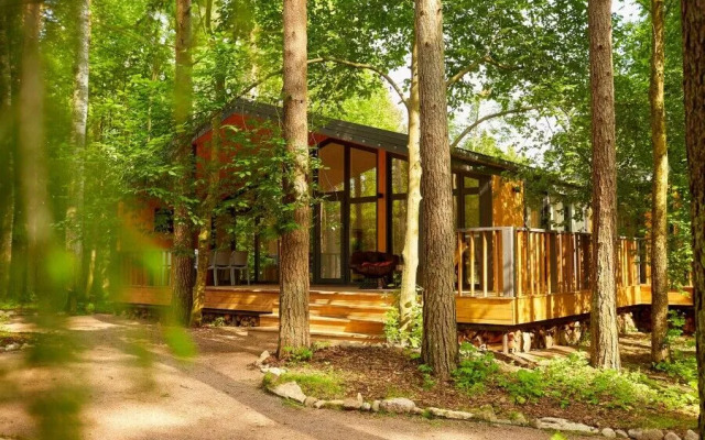 Репинские дачи