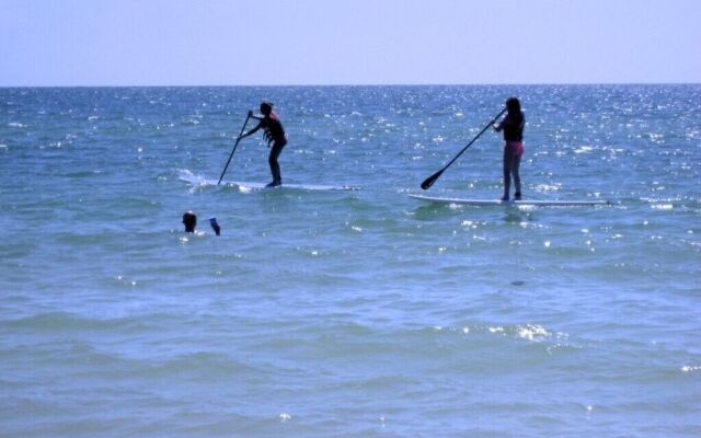 Anna Maria Island Beach Palms 7A