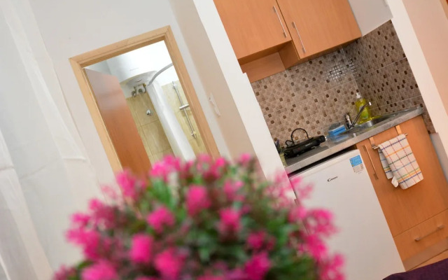 Apartments Risan Center