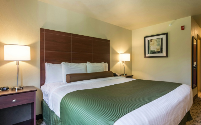 Cobblestone Hotel & Suites - Harborcreek