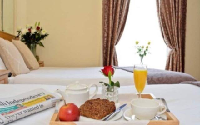 Celtic Lodge Guest House, Bed & Breakfast in Dublin City Centre
