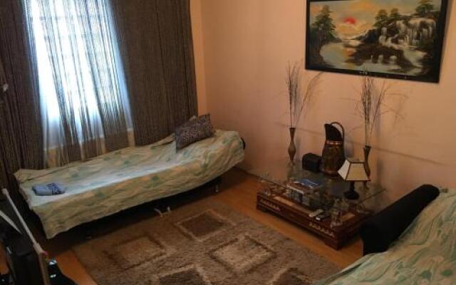 Homestay On Gabashvili 43