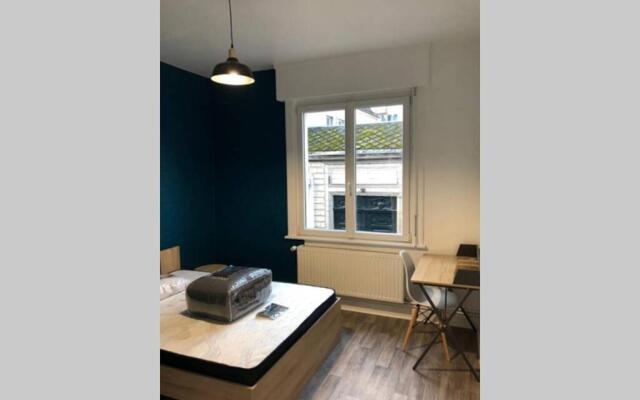 Spacieux confortable appartement centre ville