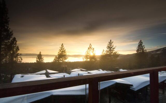 Tahoe Chaparral