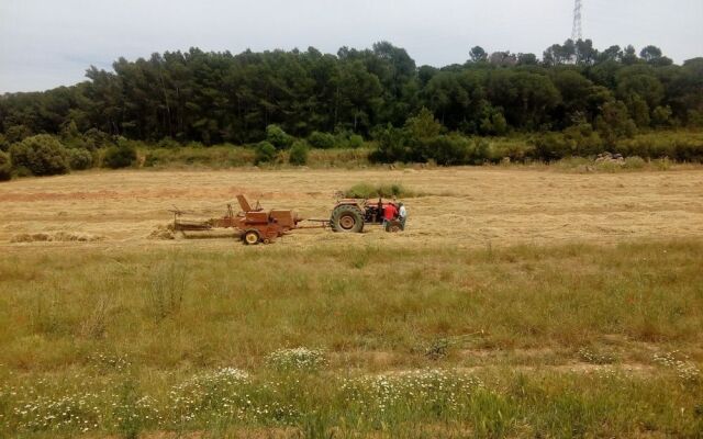 Can Barnosell - Els Masos d'en Coll