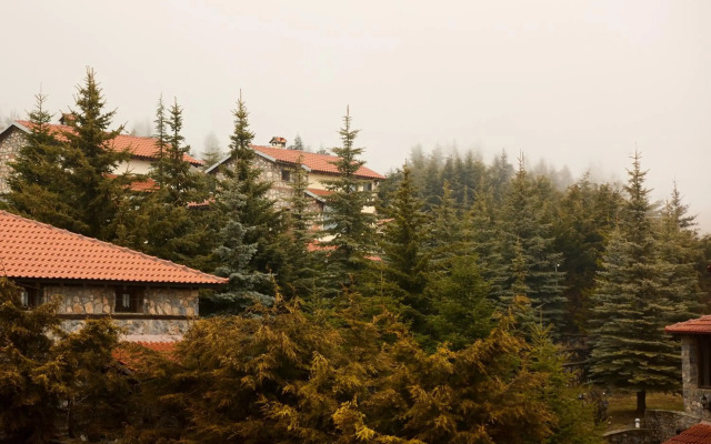 Domotel Neve Mountain Resort & Spa
