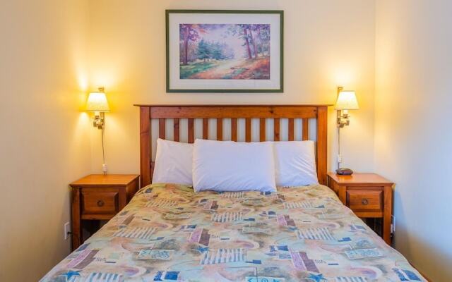 Timberline Village #38 By Bear Country