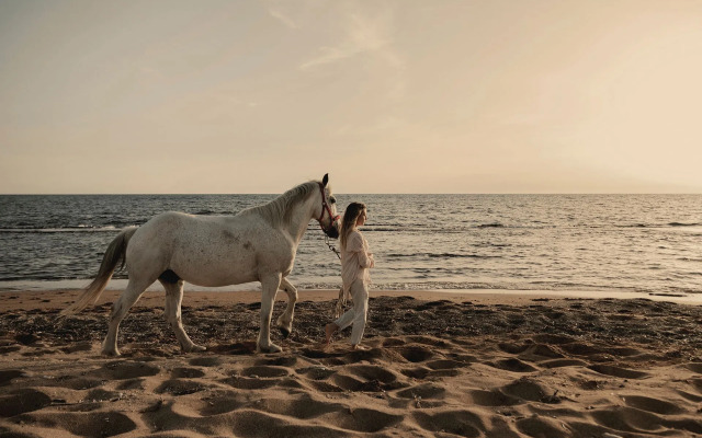 Meraviglia Slow Living