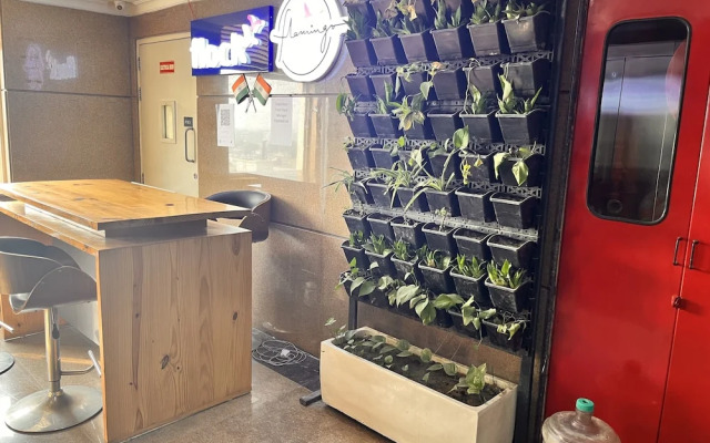 Flamingo Hotel Sector 67