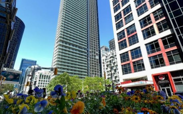 DT CN tower 3BR2BA Lake View king bed/ parking