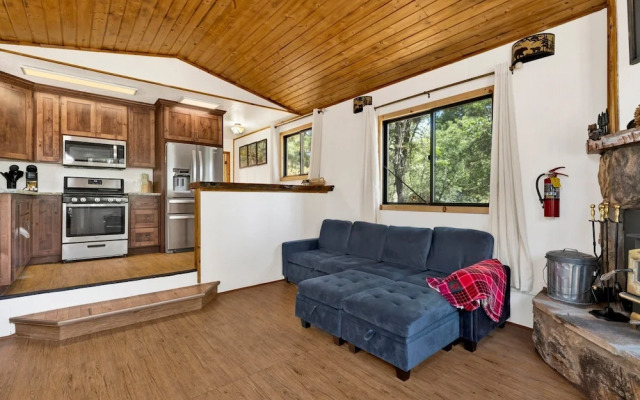 Bear Forest Cabin #2553