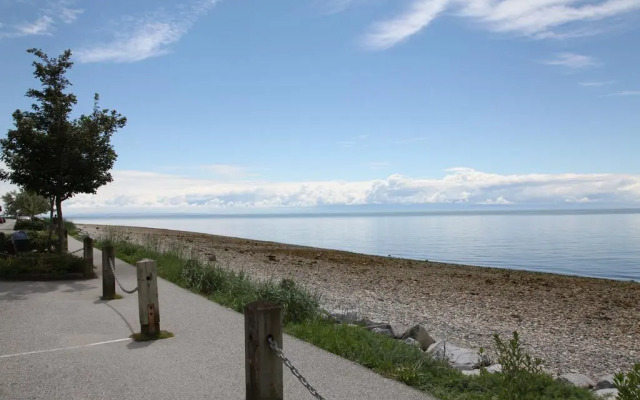 The Spot at Porpoise Bay