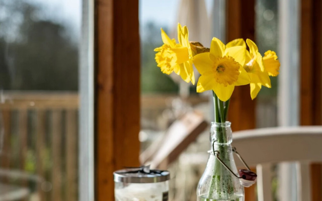 The Cabin at Wrinklers Wood