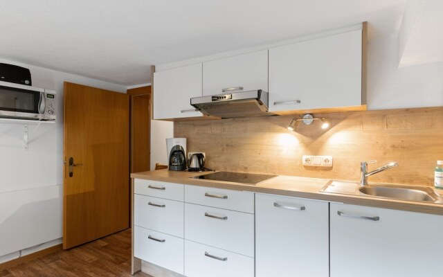 Splendid Apartment in Ski Area in Kappl