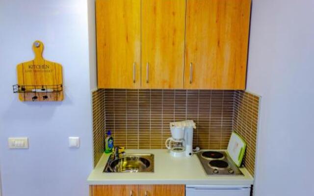 Apartment Piko