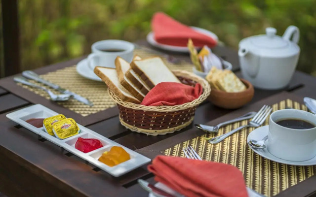 Yala Edge Camping