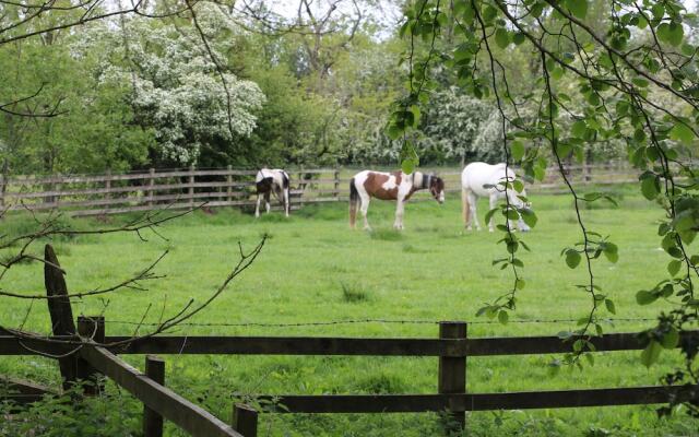 Lower Flass Farm