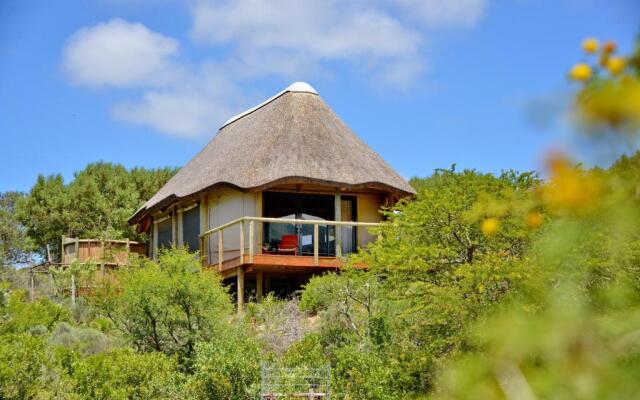 Garden Route Safari Camp