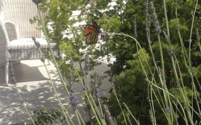 Hollywood Luxury Home