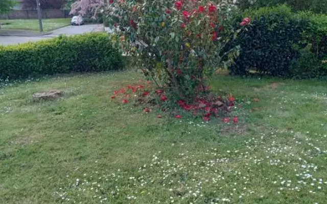 Les 3 chambres de LYLY situées a Brou