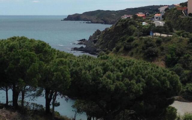 Appartement Banyuls-Sur-Mer, 3 Pièces, 6 Personnes - Fr-1-309-130