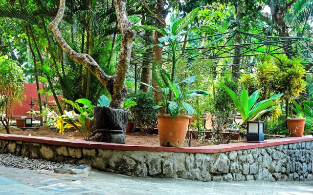 Home City Homestay & Ayurvedic Clinic