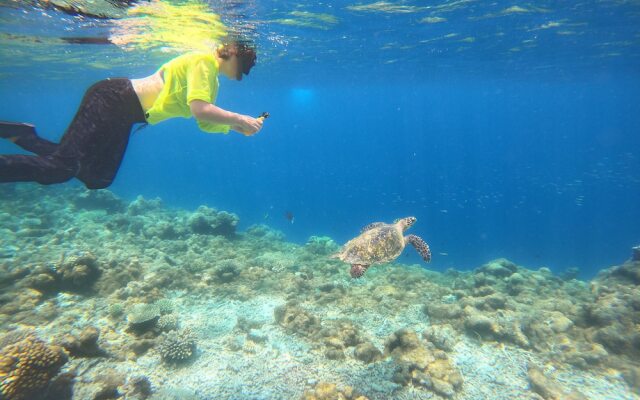 Manta Sea View