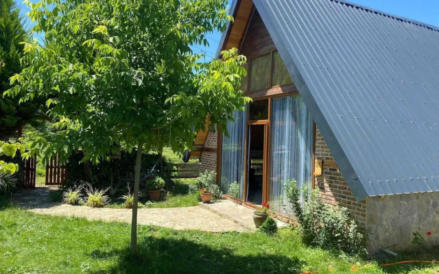 Tenora Suit Bungalov