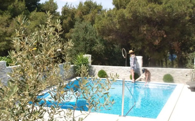 Bozo - 100m to the sea - A5