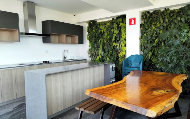 Suite Zen