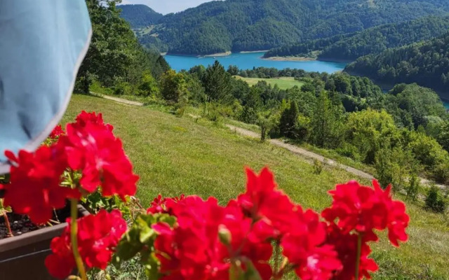 Zaovinska Panorama I