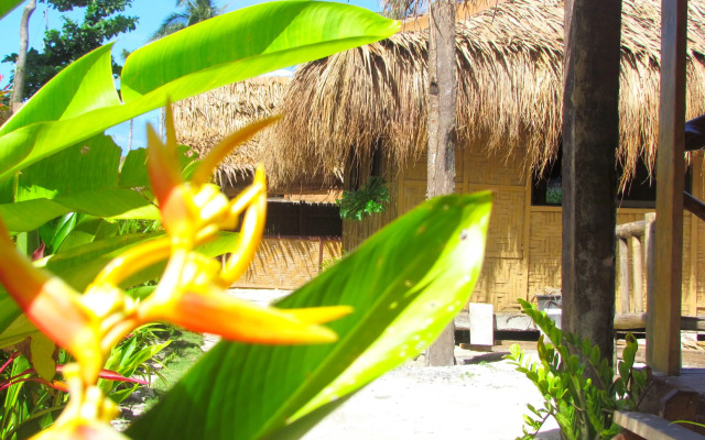 Siargao Tropic Hostel
