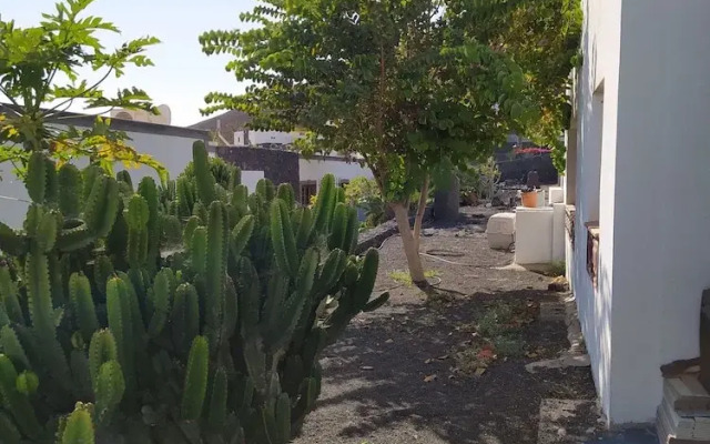 Under The Volcano In Playa Blanca