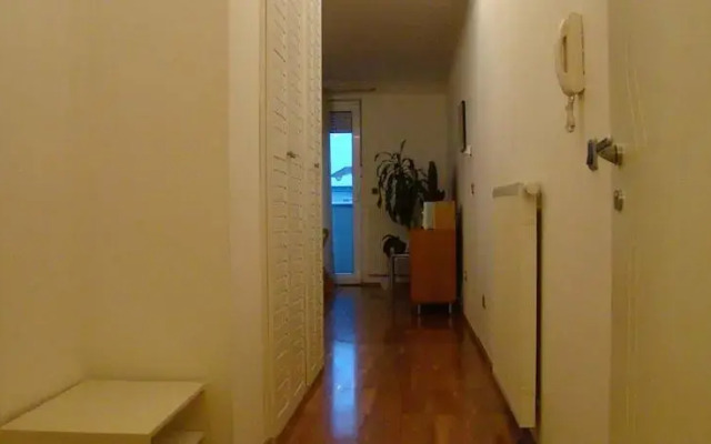 Apartment Nova