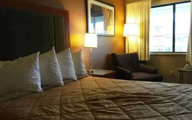 Chestnut Tree Inn
