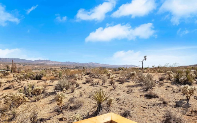 Western Oasis Corral